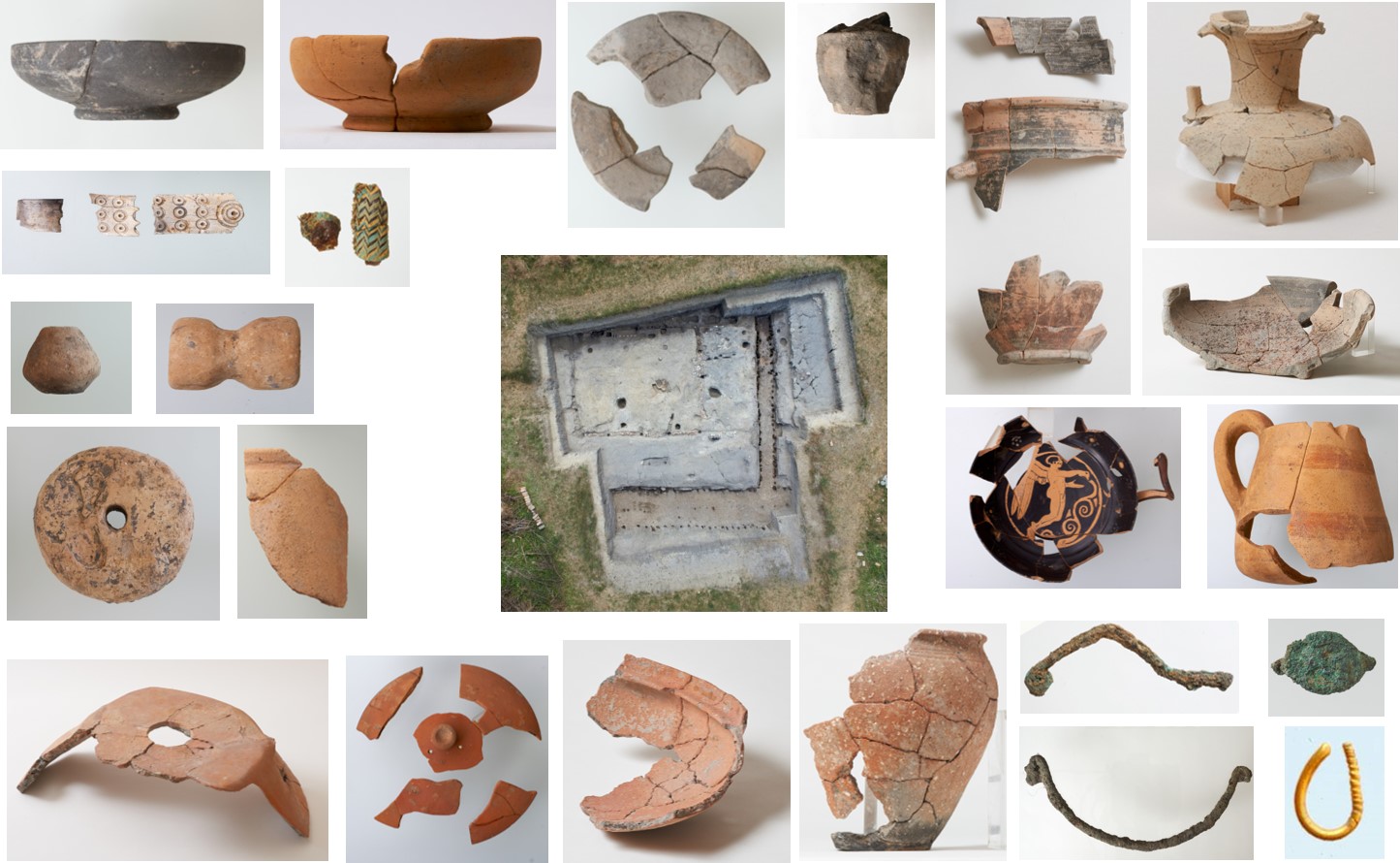 Abbildung_Diss_amisti